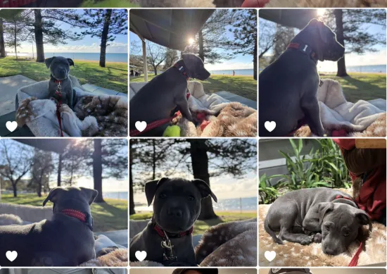 A library of everyday photos ready to shrink — JPEG, PNG, TIFF and HEIC