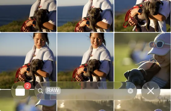 Selecting RAW photos in Apple Photos with the RAW filter before converting