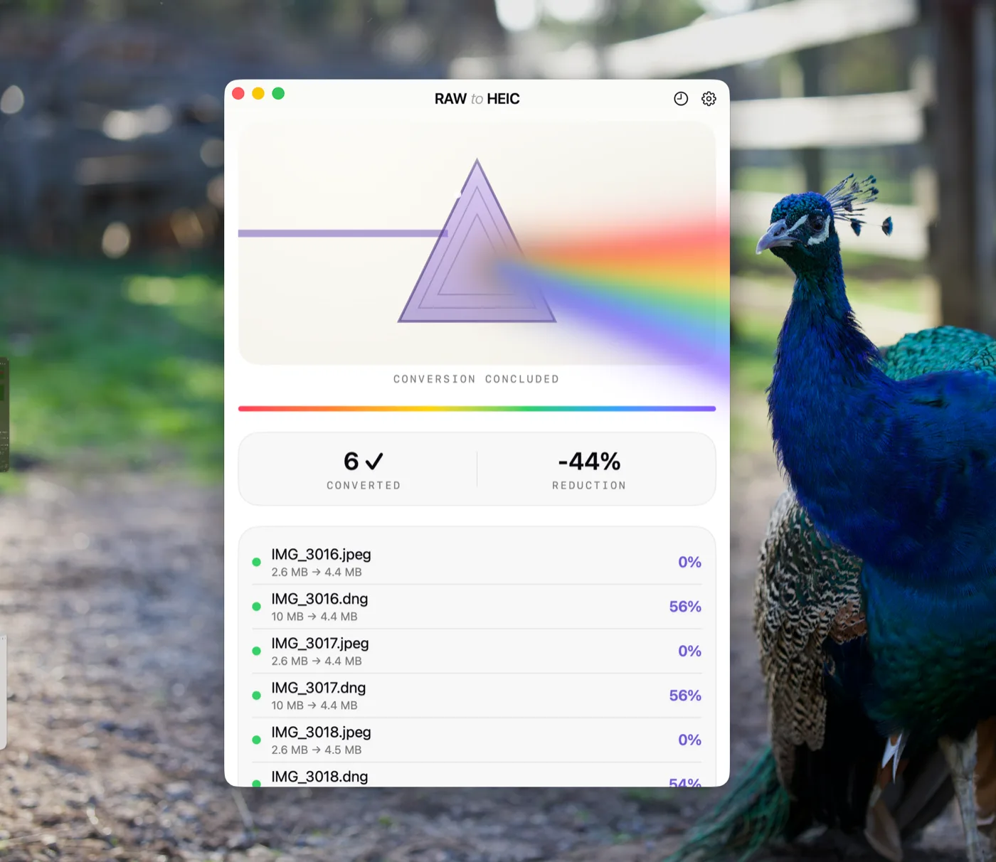 RawToHEIC on Mac after a finished batch, showing per-photo savings and total reduction